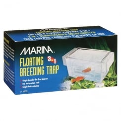 Fish shop breeding supplies