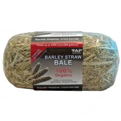 Barley Straw Bales