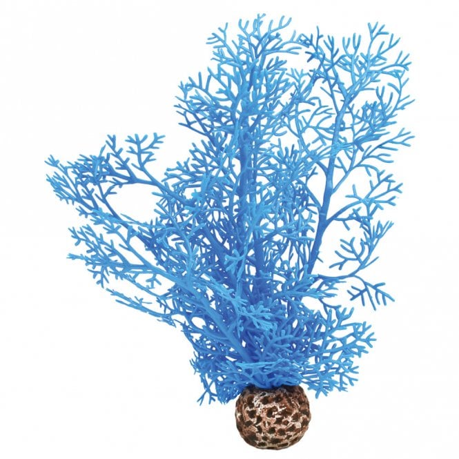 Blue Sea Fan - Small