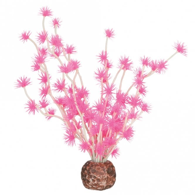 Bonsai Ball - Pink