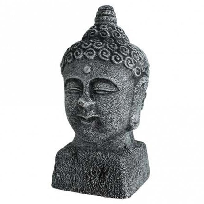 Buddha Head