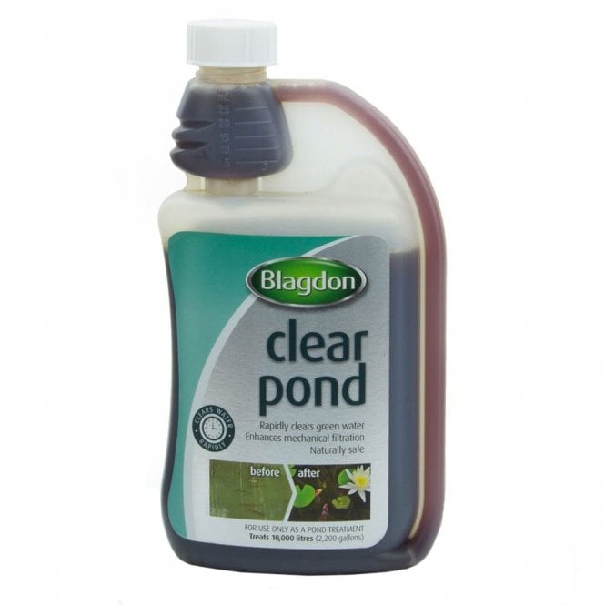 Clear Pond