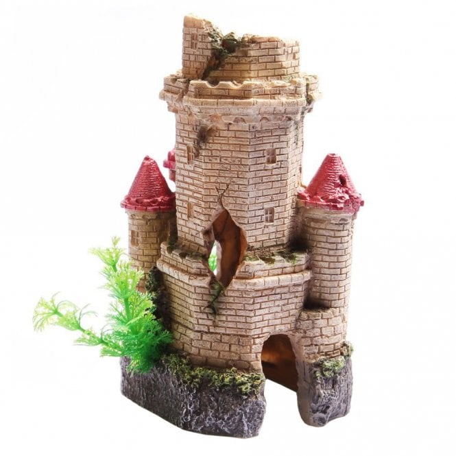 Crumbling Castle Tower