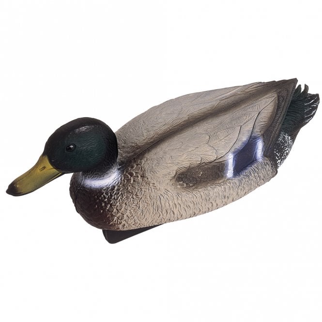 Floating Mallard Duck Drake