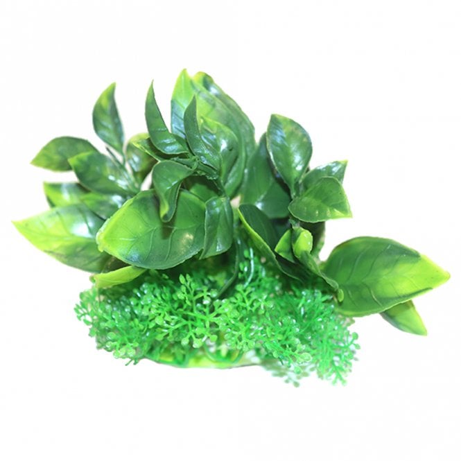 Green Dwarf Plastic Aquarium Plant