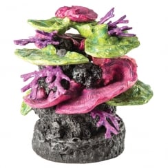 Green & Purple Coral Ridge Ornament