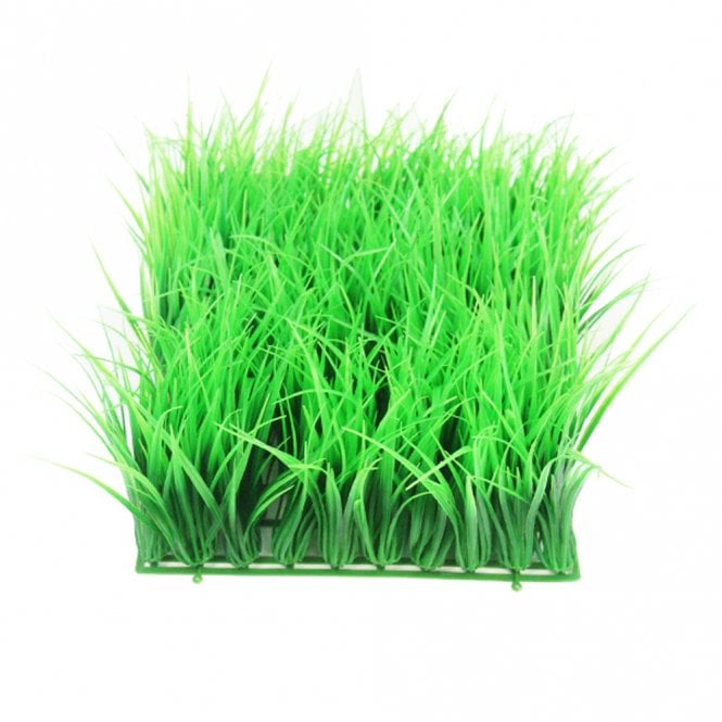 Hairgrass Plant Mat 25 x 25cm