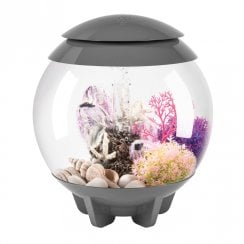 HALO 15 Aquarium MCR LED - Grey