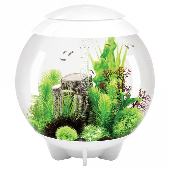 HALO 60 Aquarium MCR LED - White