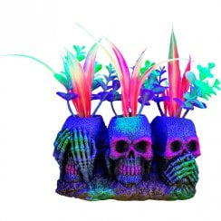 iGlo Skulls 7.5cm