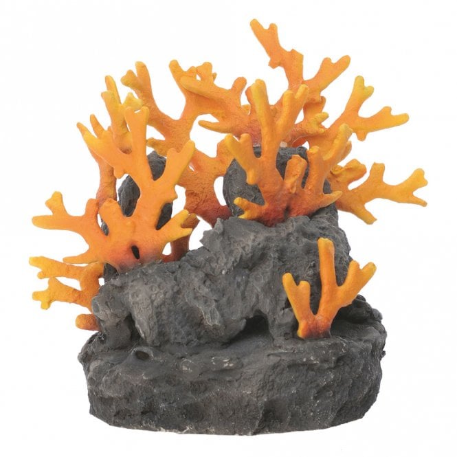 Lava Rock With Fire Coral Ornament