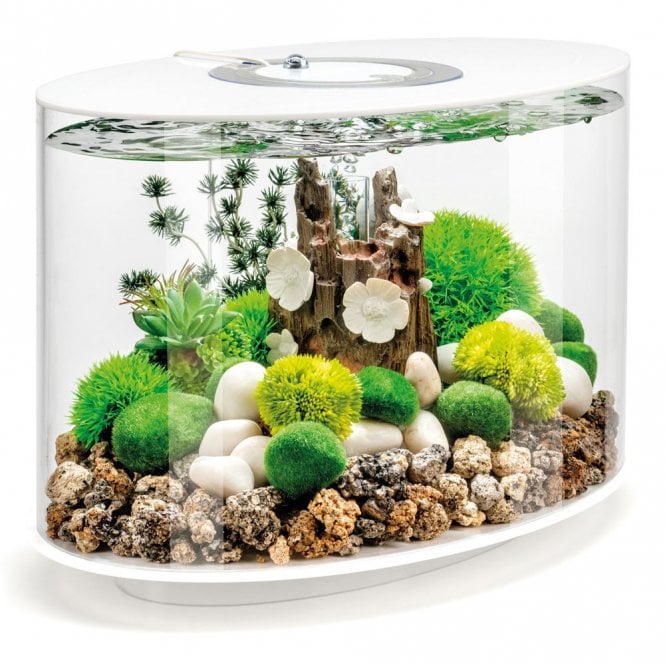 LOOP 15 Aquarium MCR LED - White