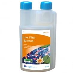 Mature - Live Filter Bacteria