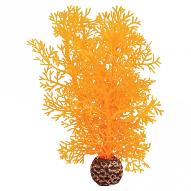 Orange Sea Fan - Small