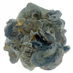 Oyster Shells 2kg