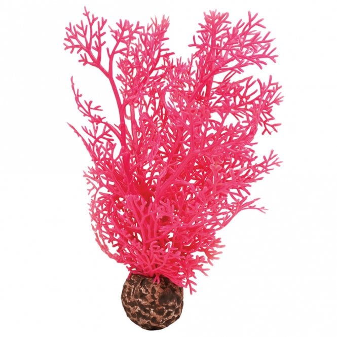 Pink Sea Fan - Small