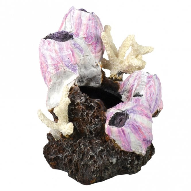 Samuel Baker Pink Barnacle Cluster Sculpture