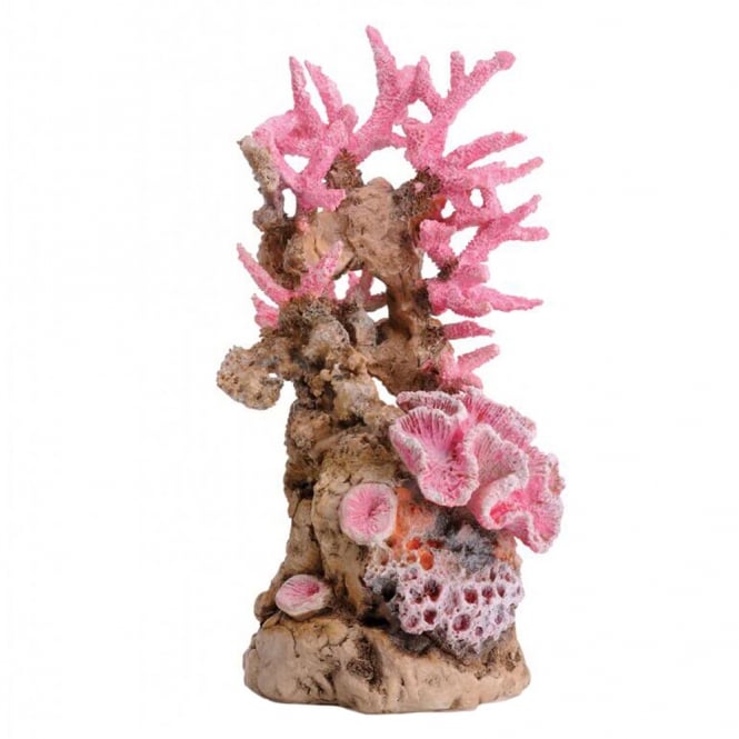 Samuel Baker Pink Reef Sculpture