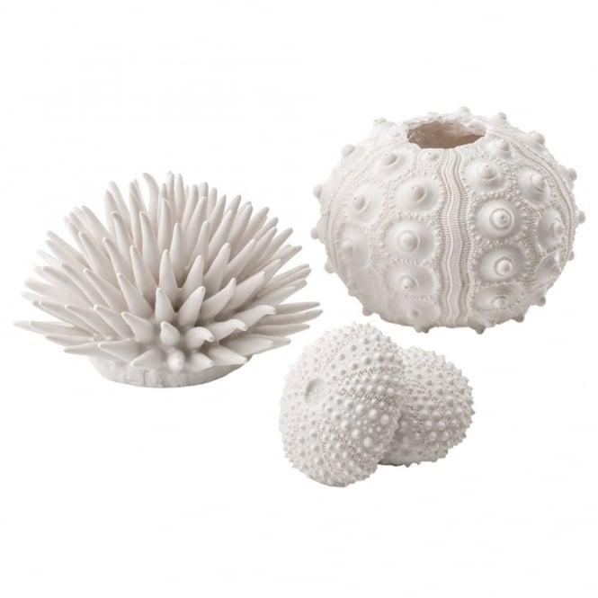 Sea Urchins Set - White