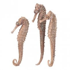 Seahorse Set - Natural