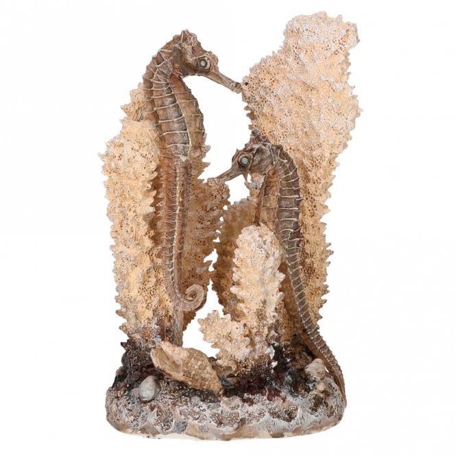 Seahorses On Coral Natural - Small