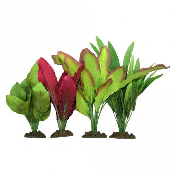 Silk Plant Value Pack (4pk)