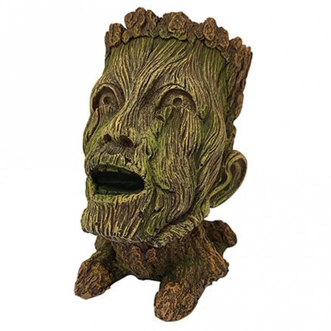 Tree Man Head