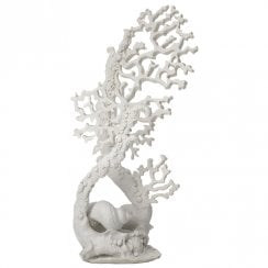 White Fan Coral Ornament - Large