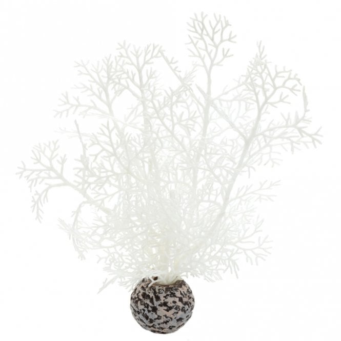 White Sea Fan - Small