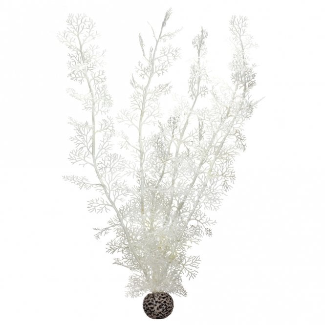 White Sea Fan - X-Large