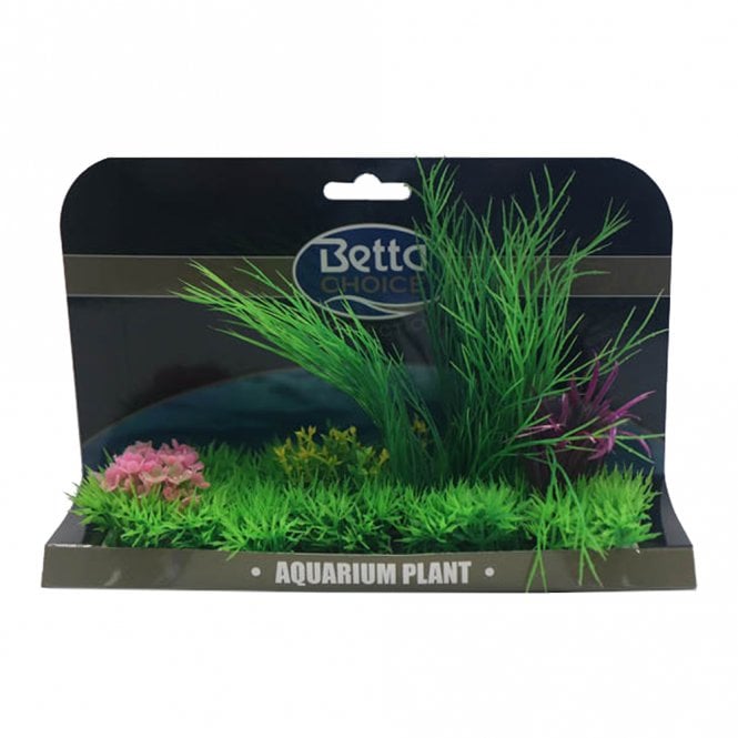 X-Large Plant Mat - Purple & Green